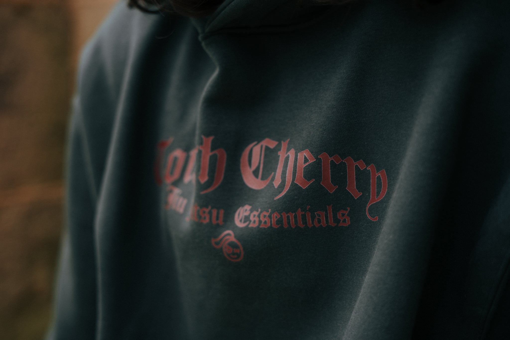 Thinking About Starting MMA? 5 Reasons to Give Mixed Martial Arts a Try