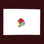 North Pole Knockout Mystery Gift- WORTH £200