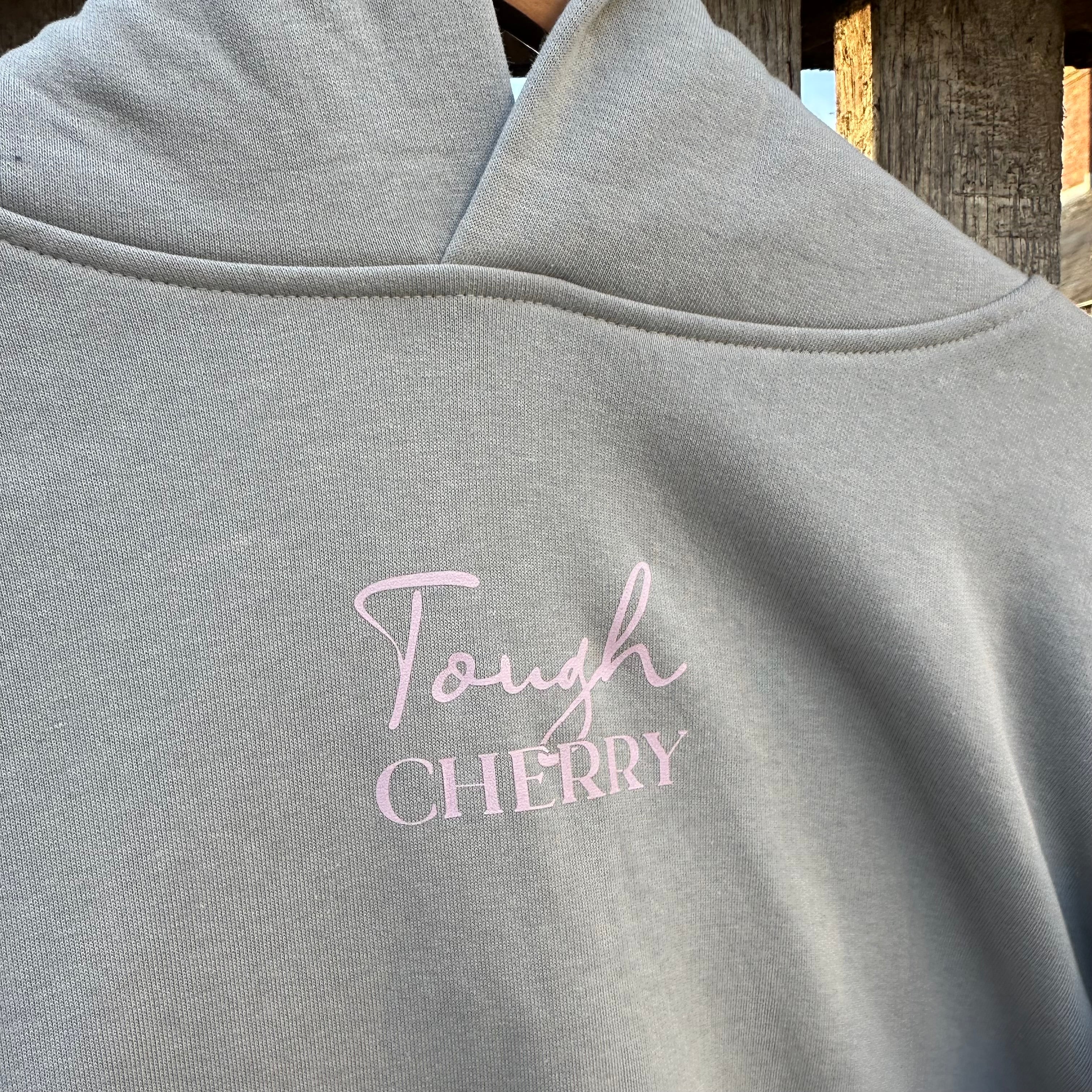 Sample Sale- Baby Pink and Grey Simple Logo Hoodie